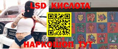 дмт Кингисепп