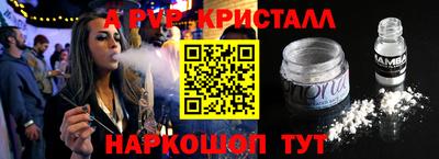 дмт Кингисепп