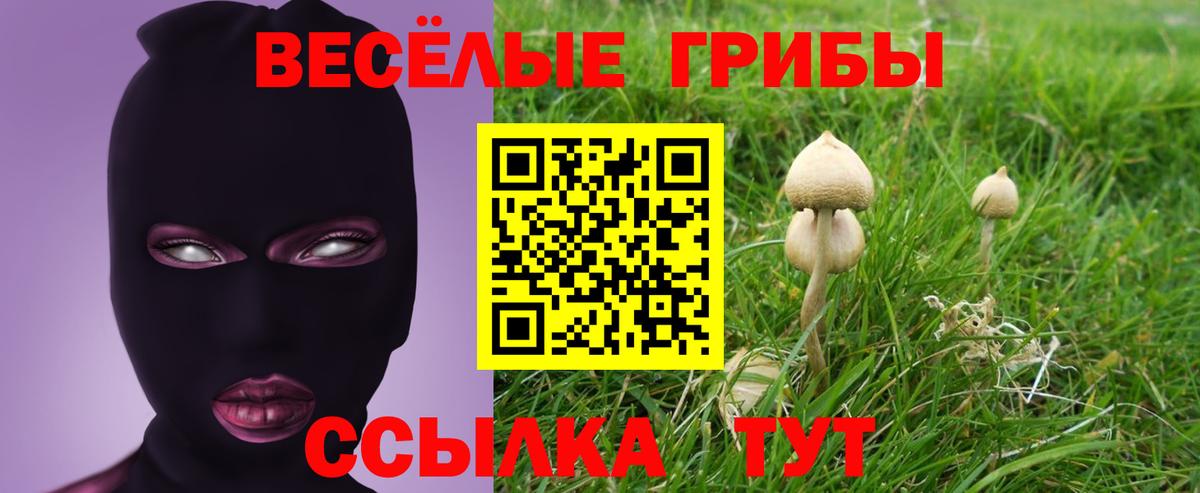 Галлюциногенные грибы Psilocybe  Вход с VPN  Краснокаменск  наркотики  Псилоцибиновые грибы ЛСД 